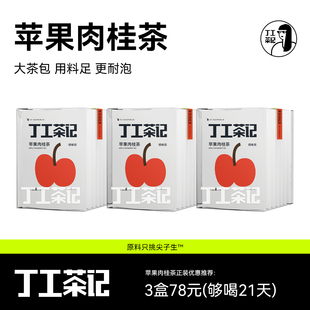 丁工茶记苹果肉桂茶适合冬天泡水喝 热饮红茶茶肉桂茶包养生茶女