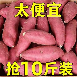 沙地蜜薯糖心板栗红薯新鲜沙地红心番薯整箱农家自种山芋烤地瓜