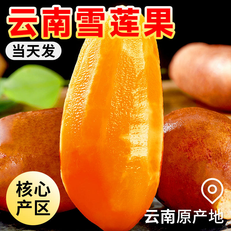 现货新果!雪莲果云南天山黄肉雪莲果新鲜水果脆甜多汁9斤包邮5