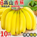 水果大芭蕉小米蕉甜香蕉皇帝蕉整箱 云南高山香蕉10斤新鲜当季 包邮
