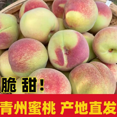 正宗山东青州蜜桃冬桃冬雪蜜桃新鲜当季现摘脆桃毛桃半离核水果孕