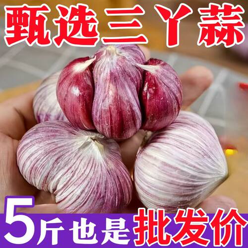 云南紫皮三丫蒜干蒜头农家蔬菜