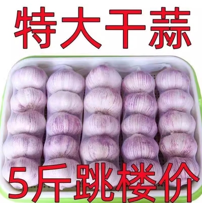 今年新蒜紫白皮大蒜干蒜5斤云南独头大蒜种子新鲜紫白皮蒜瓣10