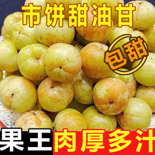 现货潮汕新鲜采摘油油甘果余甘果余甘果酸水果泡酒榨汁滇橄榄 包邮