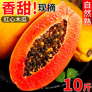 包邮 新鲜红心木瓜10斤当季 牛奶木瓜水果冰糖心青皮自然熟整箱