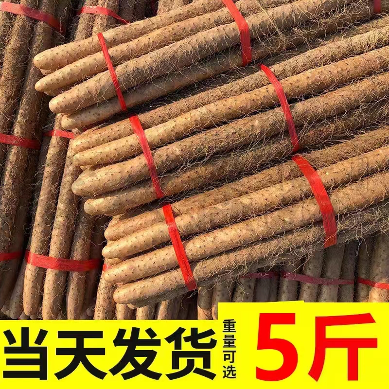 正宗铁棍山药铁杆淮山怀山药新鲜5斤特级整箱非焦作温县5包邮-封面