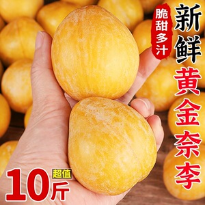 正宗黄金奈李新鲜水果九峰山应当季孕妇糖蜂蜜脆李子整箱包邮5斤