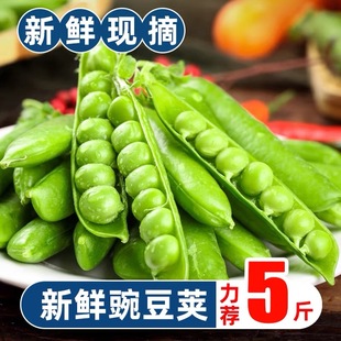包邮 现摘新鲜豌豆5斤带壳青豆角粒云南应当季 农家蔬菜甜豆子整箱