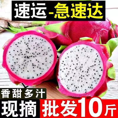 白心火龙果新鲜9斤当季越南进口热带水果白肉火龙果整箱包邮批发5