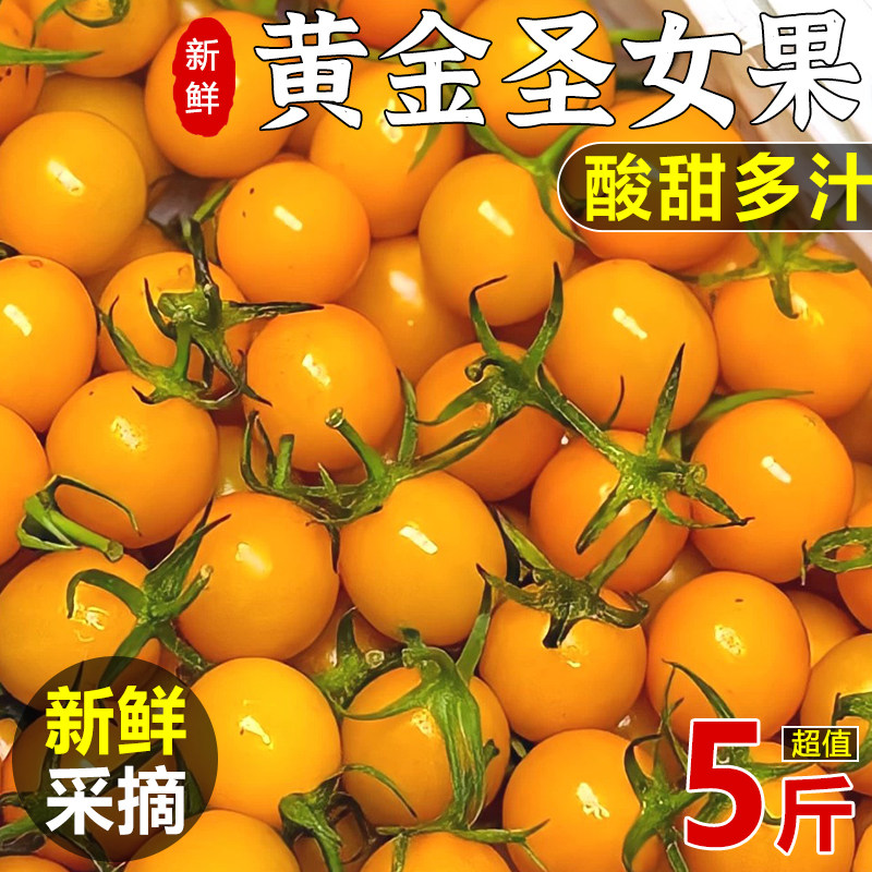 新鲜黄金圣女果5斤樱桃小番茄现摘自然熟酸甜黄皮西红柿水果包邮