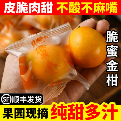 正宗广西融安脆蜜金柑第三代脆蜜金桔纯甜大金桔鲜果单独包装顺丰