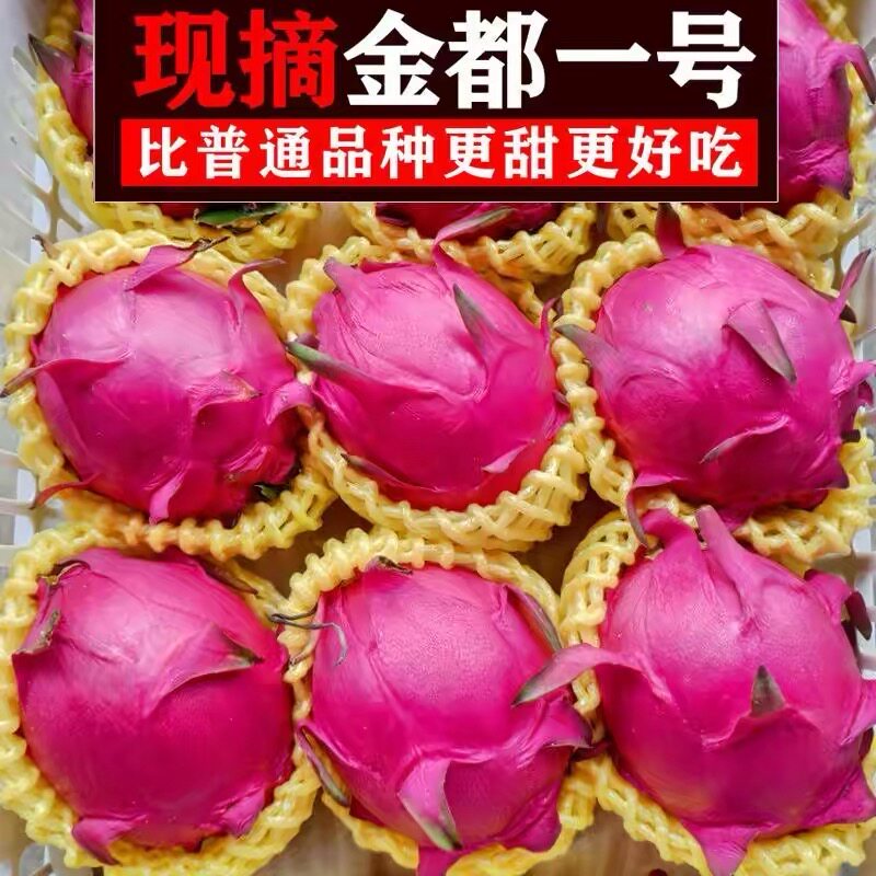 现摘红心火龙果5斤金都一号现摘新鲜当季水果红龙果红肉整箱包邮