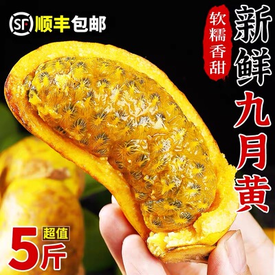 新鲜九月黄5斤应季水果拿麻藤包牛卵坨八月瓜木通果特产顺丰4包邮