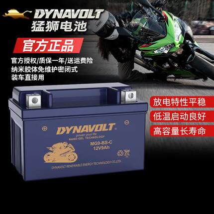 猛狮摩托车电瓶502金鹏752S黄龙600赛GSX贝纳利GW250DL300电池12V