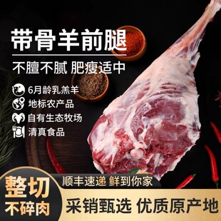 内蒙古整只羊前腿新鲜现杀散养清真巴彦淖尔生羊腿