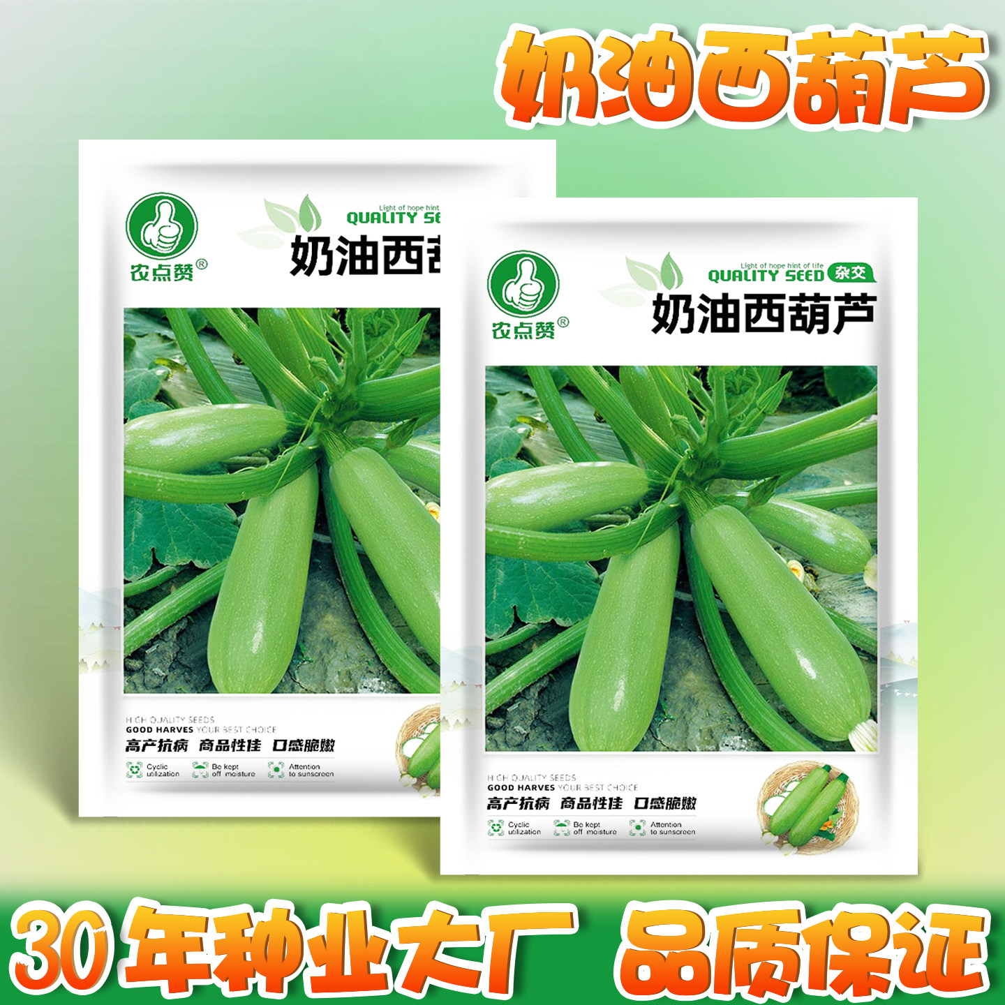 奶油西葫芦种子高产小瓜角瓜籽种西胡芦笋瓜种籽四季种植蔬菜种子