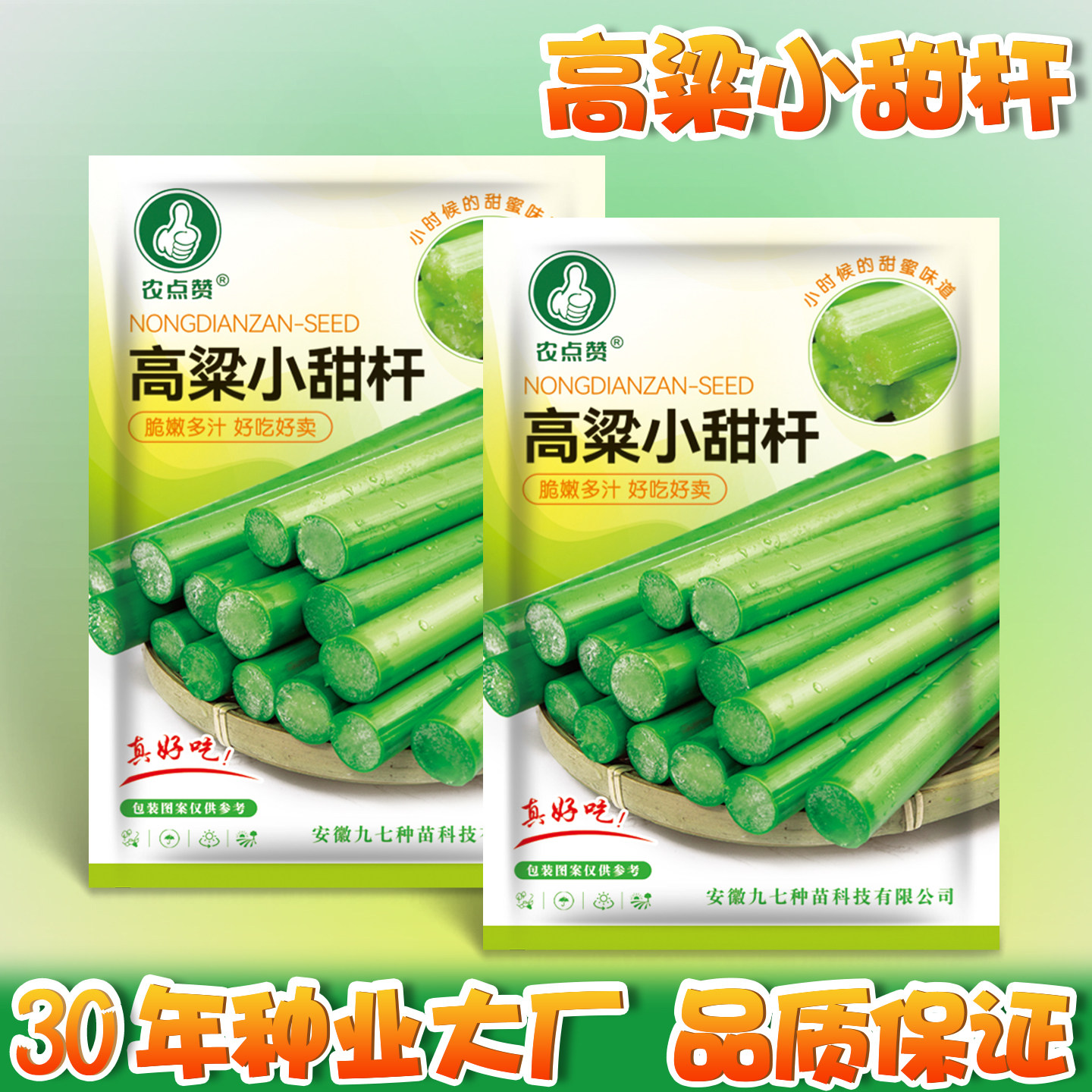 高粱小甜杆种子北方小甘蔗籽种青粮油/棉麻作物种子