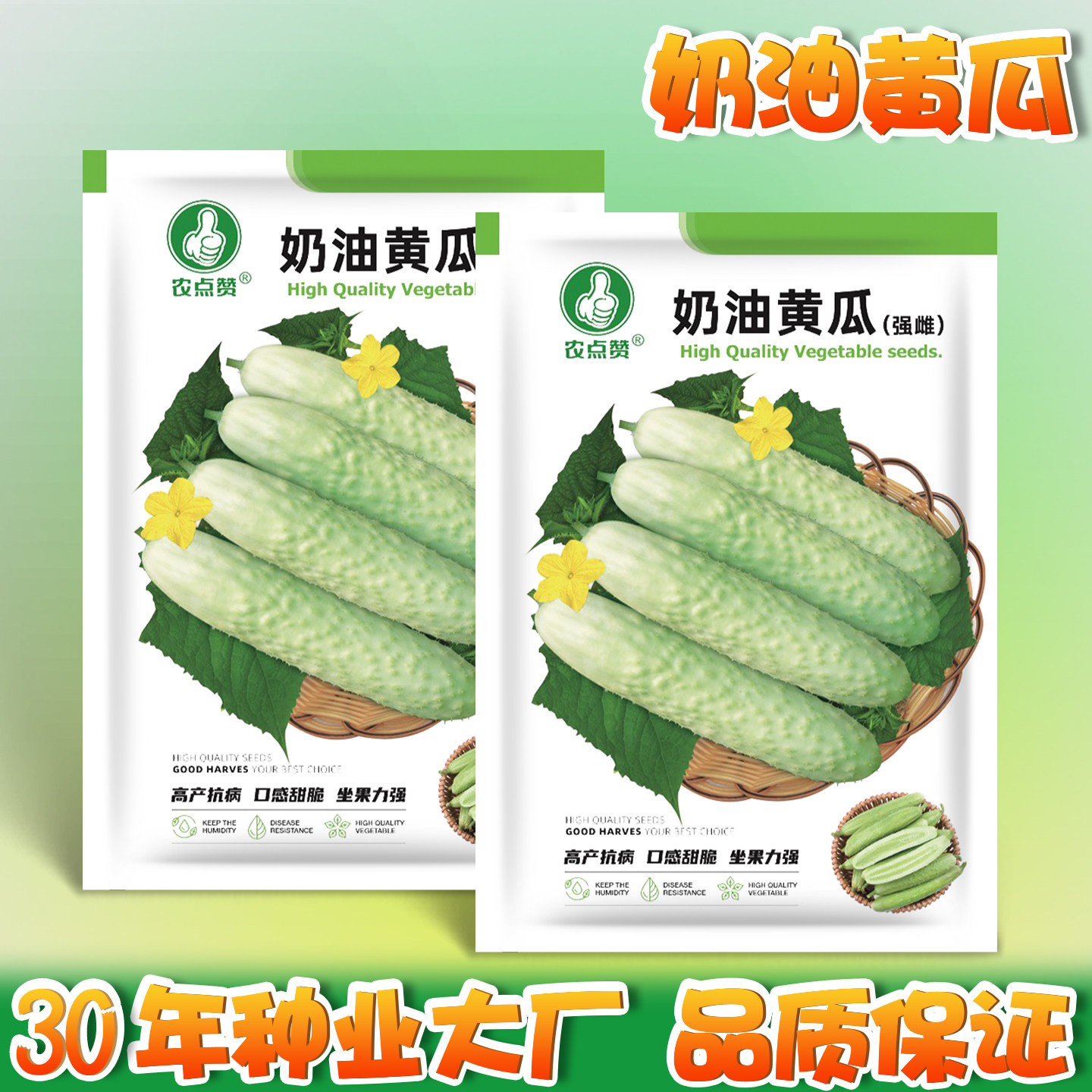 奶油黄瓜种子老品种强雌带刺水果小黄瓜唐山秋瓜种籽四季种产量高