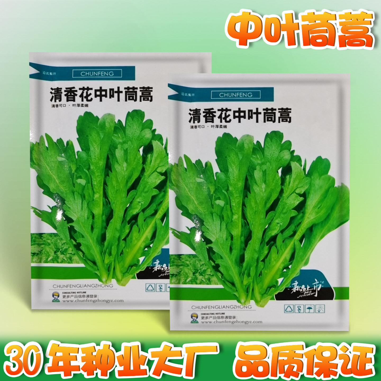 中叶茼蒿种子茼蒿菜种籽光杆茼蒿菜籽蒿子秆籽清香高杆皇帝菜种籽