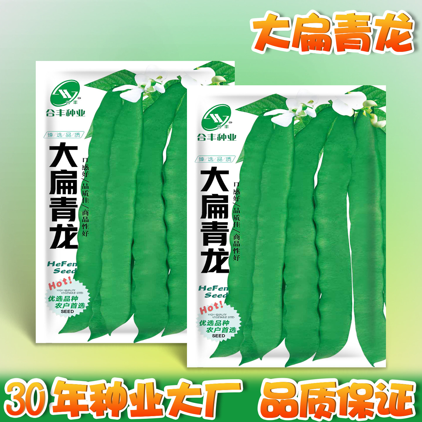 大扁青龙四季豆种子宽扁豆角籽种东北芸豆种籽农家豆角大刀豆种籽