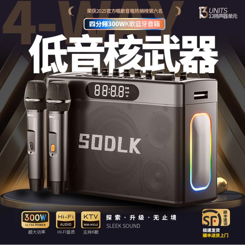300W蓝牙音箱柏林之声大音量重低音炮高端家用户外露营唱K歌音响