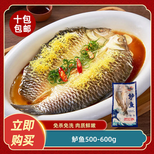 鲈鱼500-600g海鲈鱼开背新鲜冷冻鲜活深海鱼清蒸烤鱼半成品食材