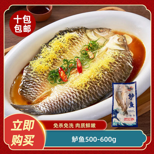 鲈鱼500-600g海鲈鱼开背新鲜冷冻鲜活深海鱼清蒸烤鱼半成品食材