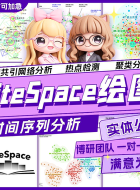 CiteSpace作图分析知识图谱文献计量关键词共现聚类时区间线代做