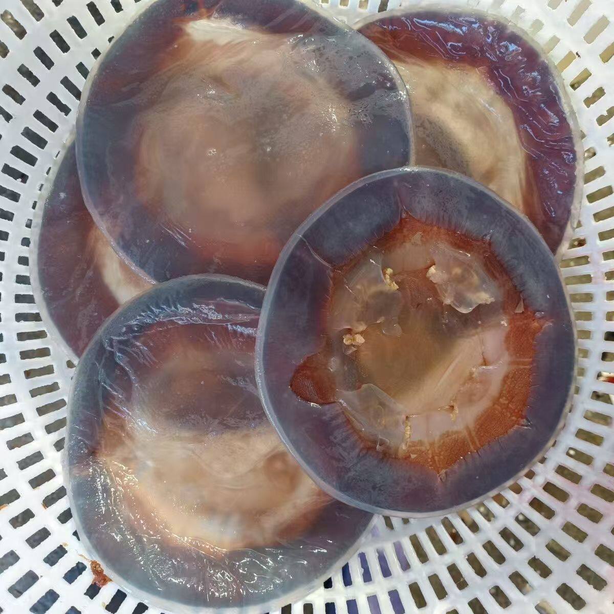 海蜇皮新鲜即食凉拌野生5斤桶装水母花提干海哲正宗垫干货红太阳
