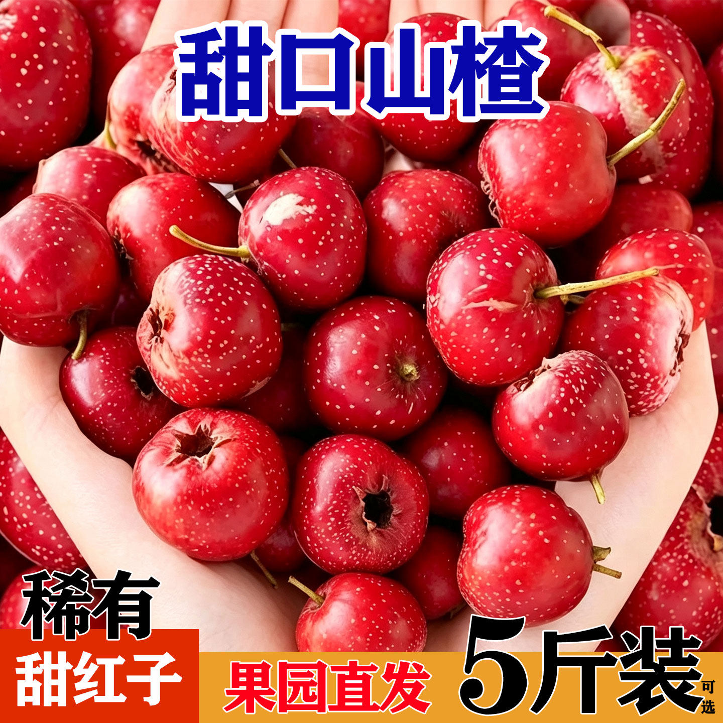 甜红子山楂鲜果小甜山楂果新鲜泡酒野生鲜山里红水果现摘的批发