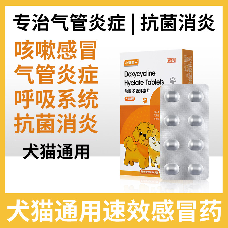 盐酸多西环素片猫鼻支治疗猫咪感冒药打喷嚏流鼻涕速消炎片诺狗狗,宠物/宠物食品及用品,猫呼吸道疾病药品,淘宝优惠券,粉丝福利购,淘宝优惠卷
