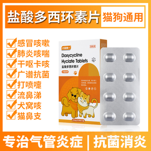 猫鼻支猫咪感冒药打喷嚏流鼻涕呼吸道感染专用滴鼻液急救药