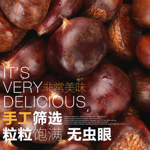 【5斤装有机板栗】甜糯中粒 正宗迁西板栗生栗子2023年新鲜的油栗