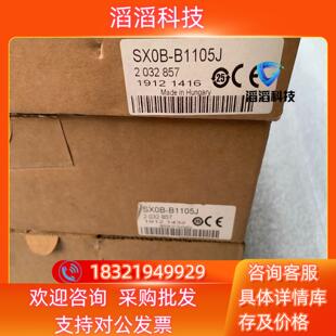 现货全新sick西克配件插头和电缆SX0B B1105J