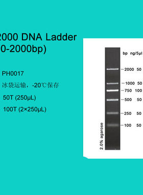 PH0017DL2000DNALadder(100-2000bp)100TDNAM50T250μL