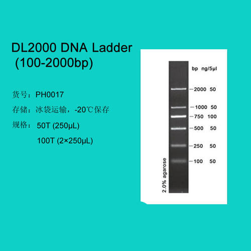 PH0017DL2000DNALadder(100-2000bp)100TDNAM50T250μL