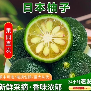 【基地直发】日本柚子YUZU,青柚子/量大从优 -安徽产区