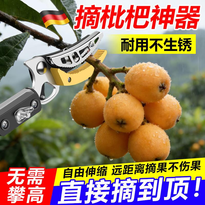 摘枇杷神器果树剪枝专用剪刀锰钢多功能高空摘水果神器伸缩杆长杆