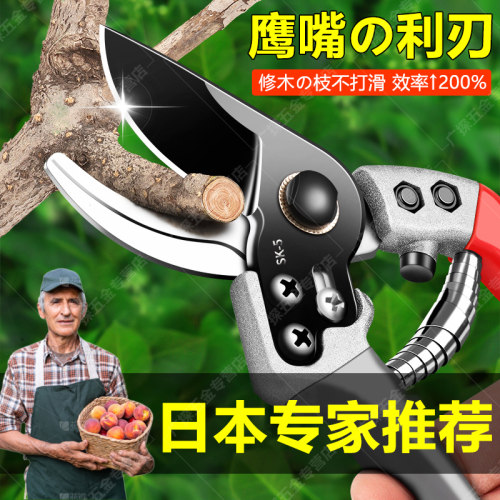 日本剪树枝专用剪刀修枝剪修花艺果树省力剪粗枝花卉家用园林剪子