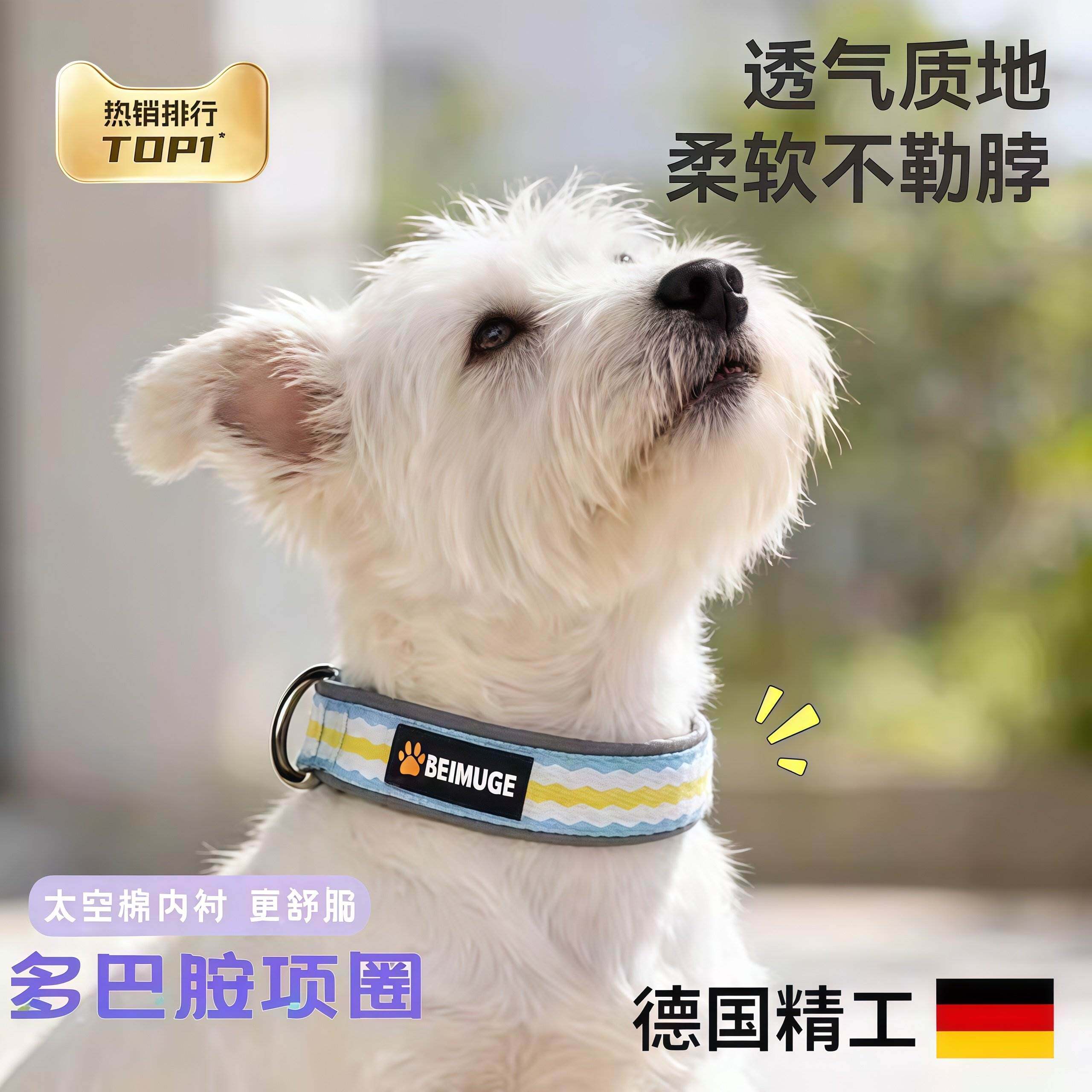 狗项圈牵引绳套装中小型犬泰迪比熊遛狗绳宠物专用大狗脖圈拴狗绳