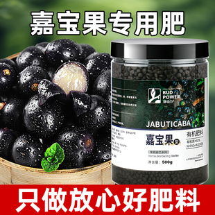 嘉宝果专用肥树葡萄增产增甜珍宝果营养液有机复合肥颗粒缓释肥料