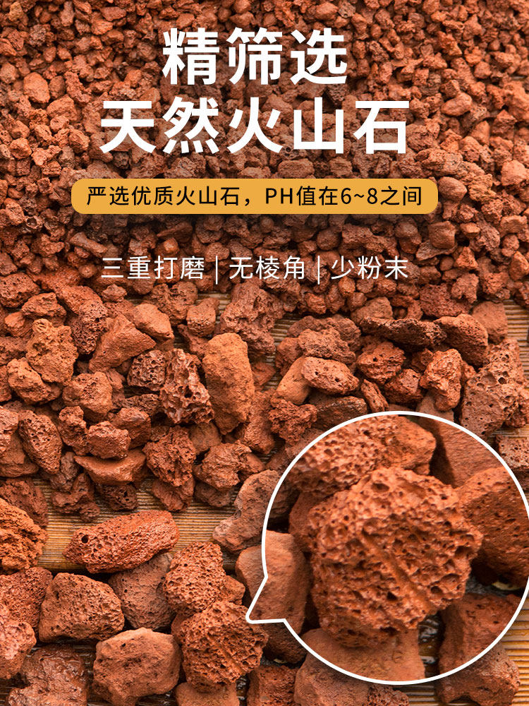 火山石颗粒养花专用多肉家用兰花专用土透气火山岩盆栽造景铺面石