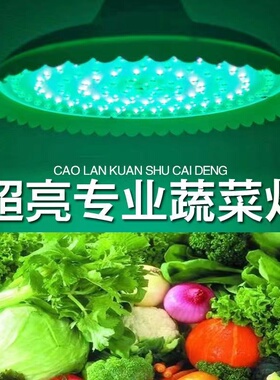 led蔬菜灯青菜灯生鲜灯LED猪肉水果灯熟食灯冰鲜灯节能吊灯绿光