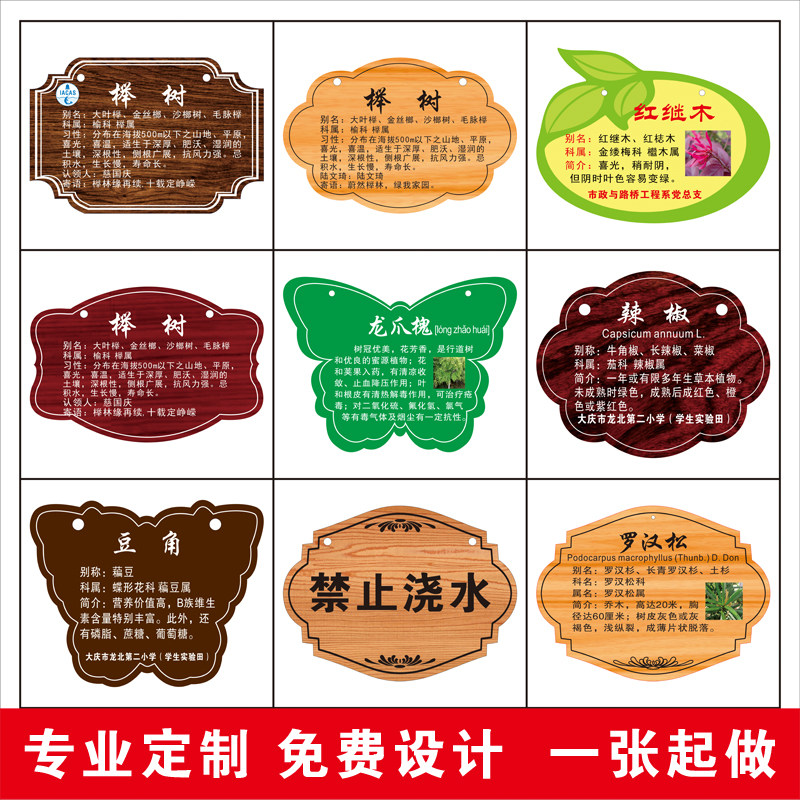 学校公园植物标签插牌标记植树节挂牌吊牌名字卡提示牌许愿挂牌