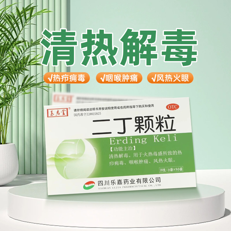 玉启堂 二丁颗粒20g*9袋/盒清热解毒火热毒盛热疖痈毒咽喉肿痛