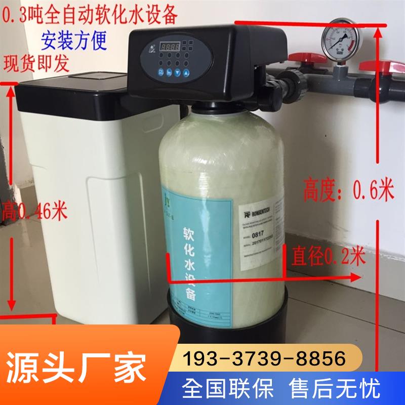 家用1吨软化水去离子设备软水除垢锅炉蒸汽发生器净水机自动直销