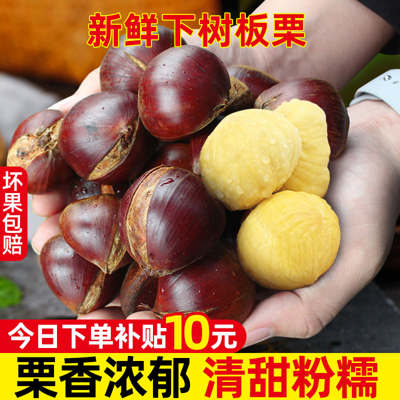 正宗新鲜生现摘丹东板栗5斤