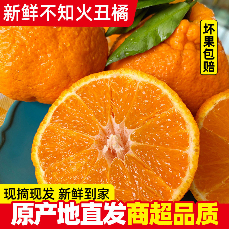 四川不知火丑橘新鲜5-9斤装丑八怪柑桔子耙耙蜜橘子当季水果粑粑,水产肉类/新鲜蔬果/熟食,桔子,淘宝优惠券,粉丝福利购,淘宝优惠卷