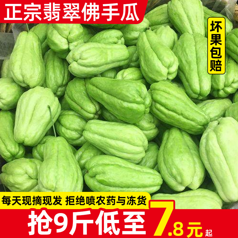 云南新鲜佛手瓜5-9斤装高原农家自种蔬菜洋瓜捧瓜丰收瓜窝瓜寿瓜