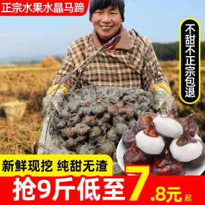 正宗安徽水晶水果马蹄5-9斤新鲜时令水果蔬菜脆甜多汁荸荠大饽荠